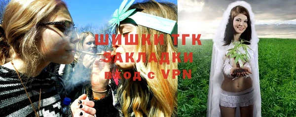 твердый Осинники