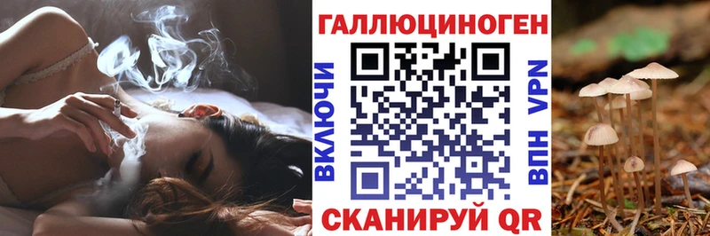 Псилоцибиновые грибы прущие грибы магазин KRAKEN ссылки Пугачёв